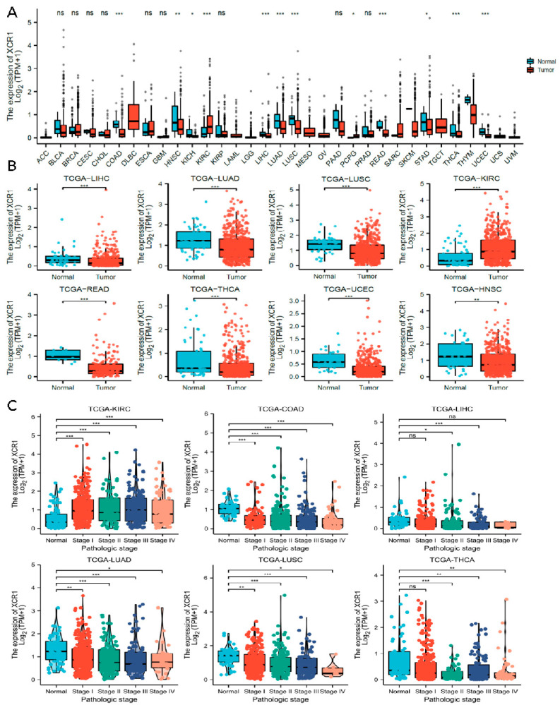 PMC10606244 – genes-14-01961-f002