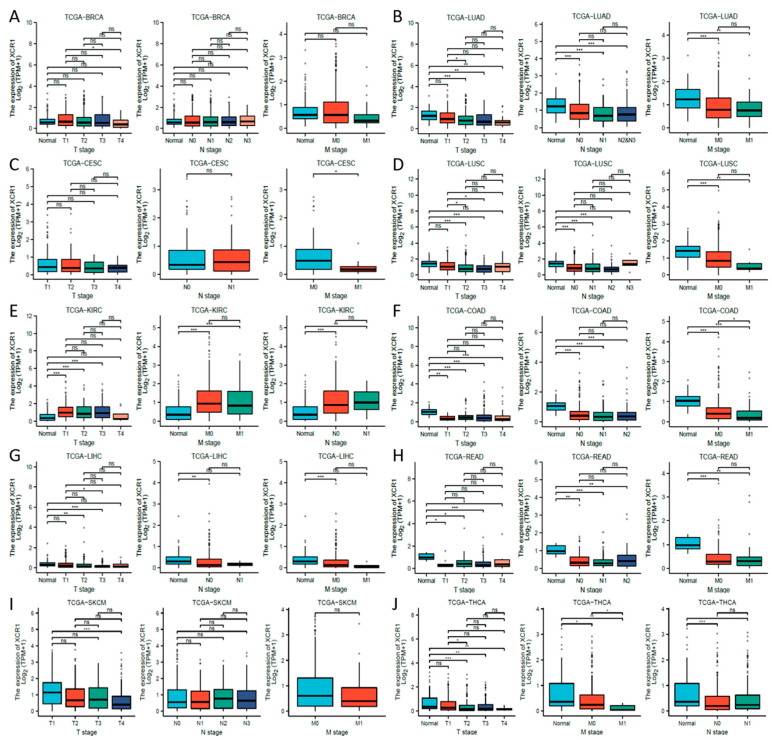 PMC10606244 – genes-14-01961-f003
