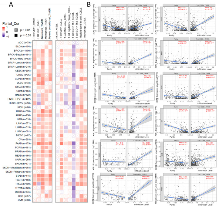 PMC10606244 – genes-14-01961-f004