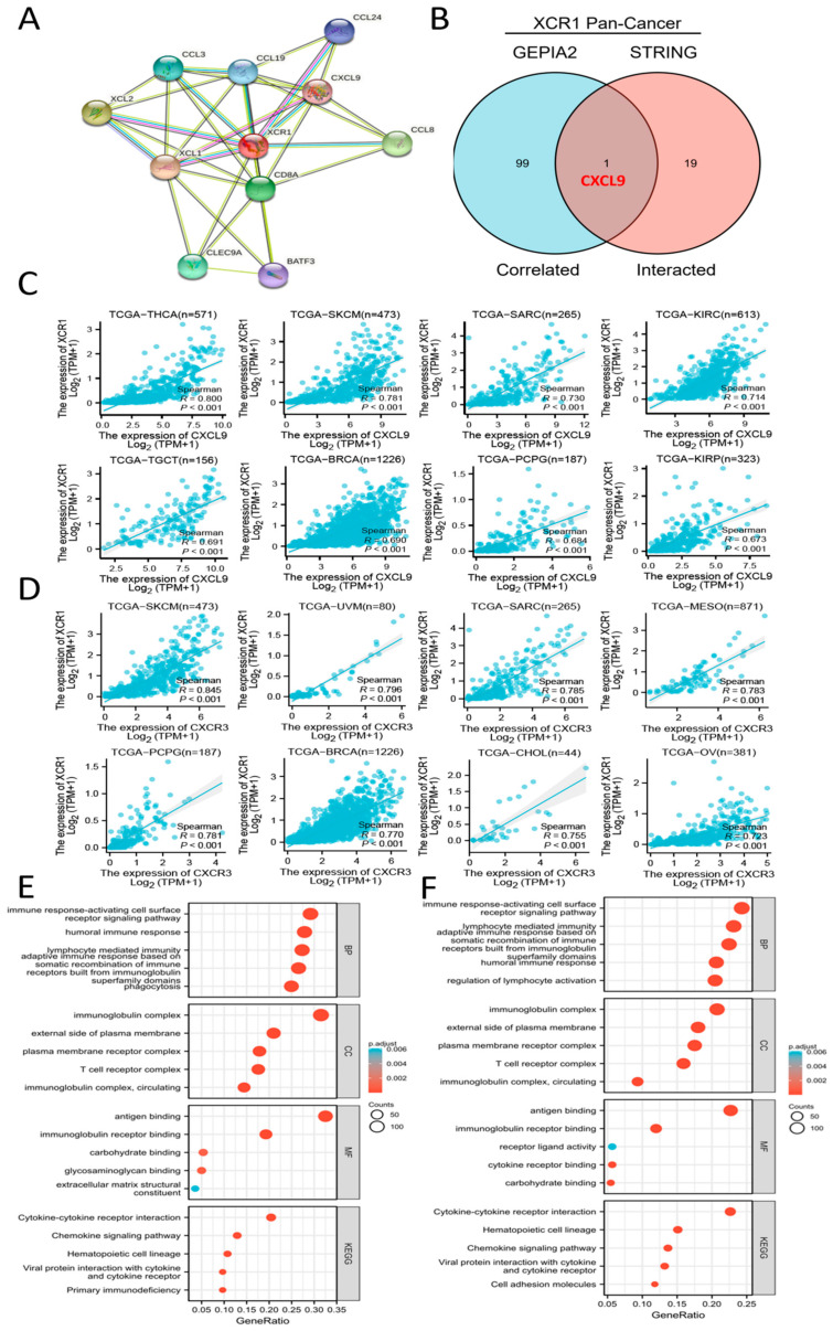 PMC10606244 – genes-14-01961-f005
