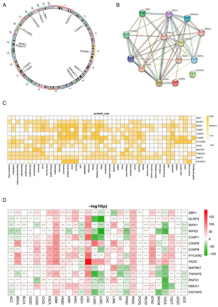 PMC10671595 – genes-14-01994-f001