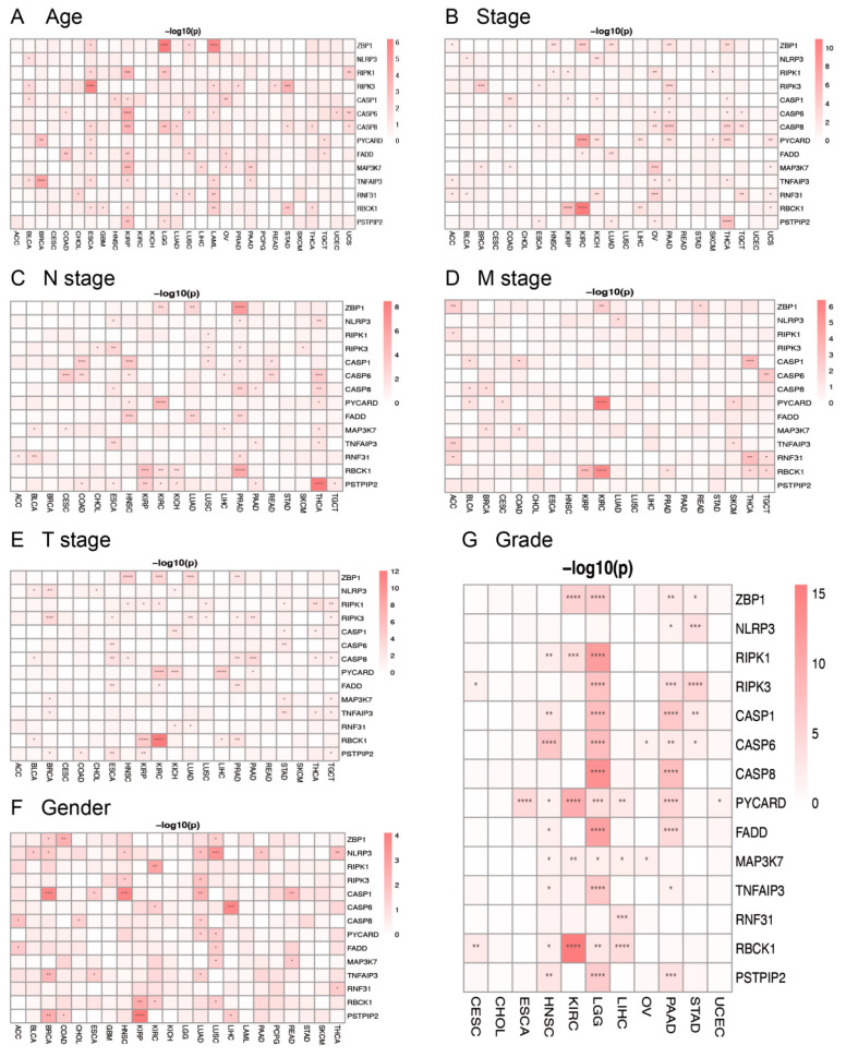 PMC10671595 – genes-14-01994-f003