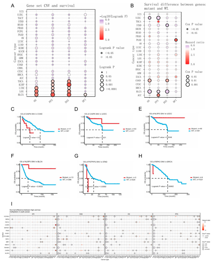 PMC10671595 – genes-14-01994-f005