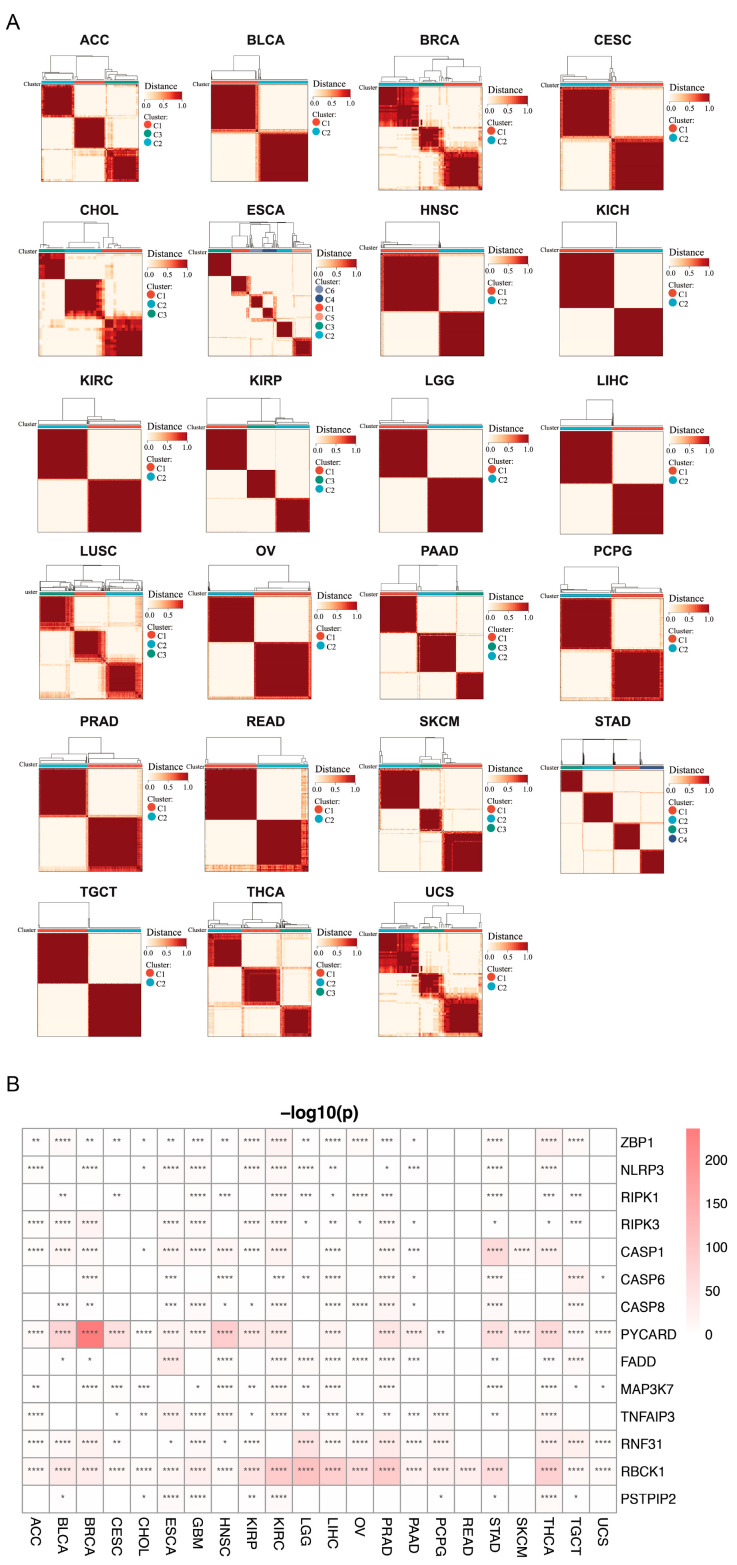 PMC10671595 – genes-14-01994-f006