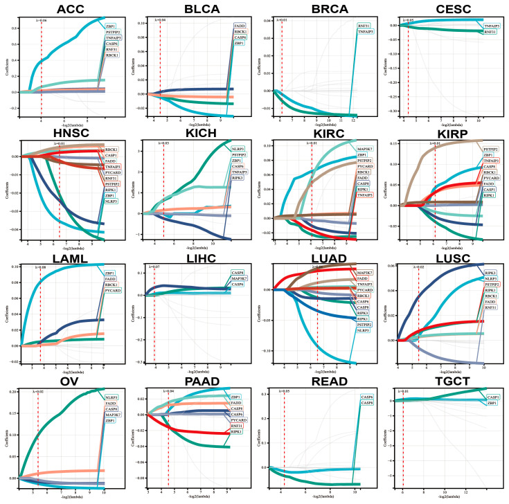 PMC10671595 – genes-14-01994-f007