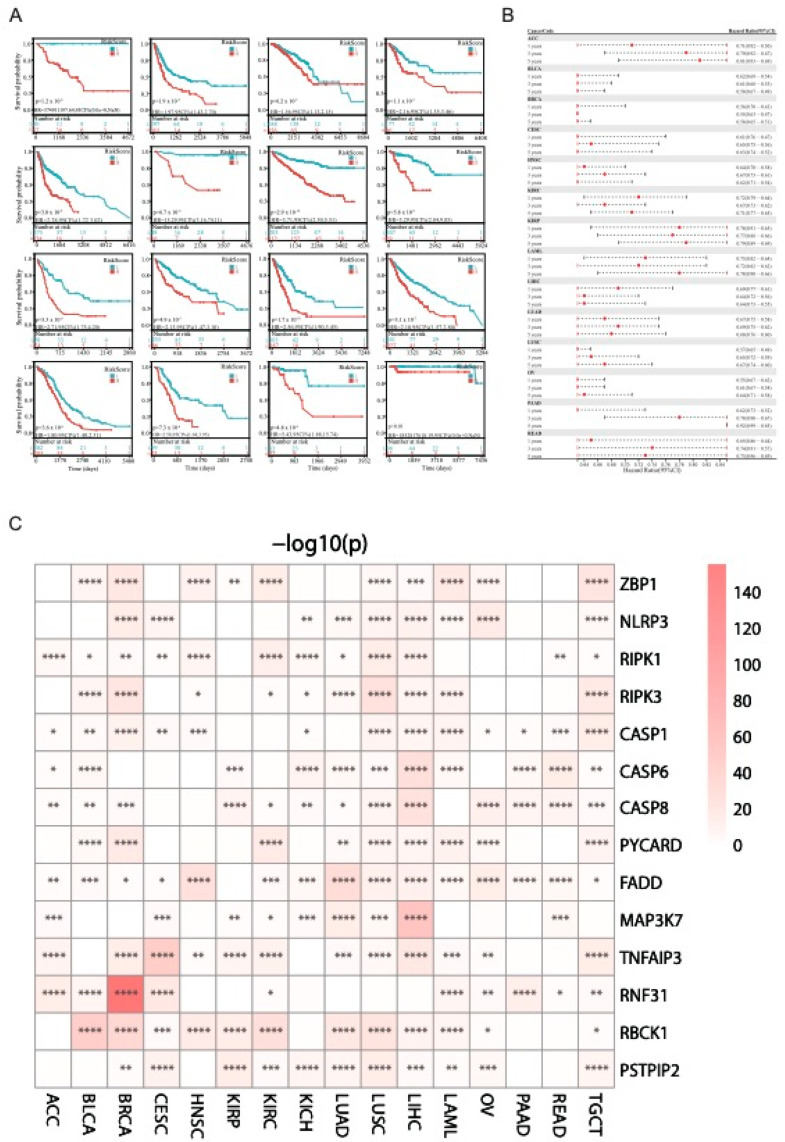 PMC10671595 – genes-14-01994-f008