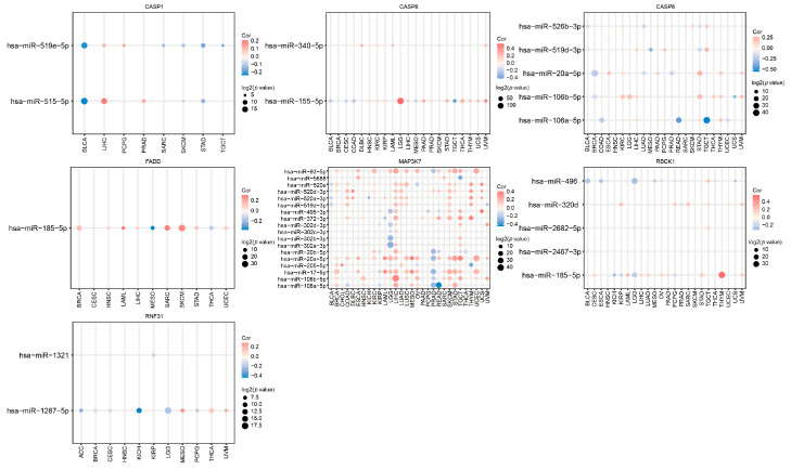 PMC10671595 – genes-14-01994-f013