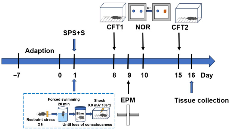 PMC11050643 – genes-15-00519-f001