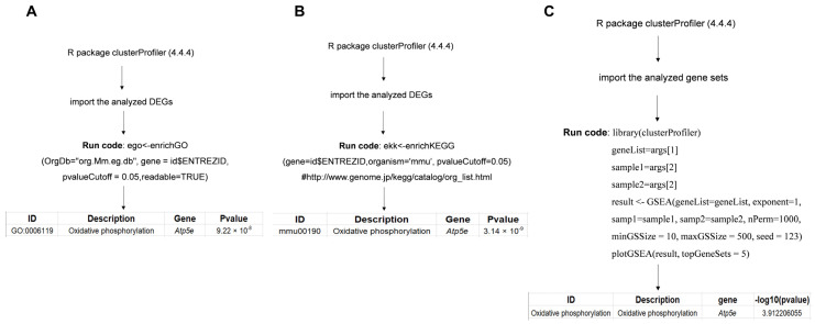 PMC11050643 – genes-15-00519-f002