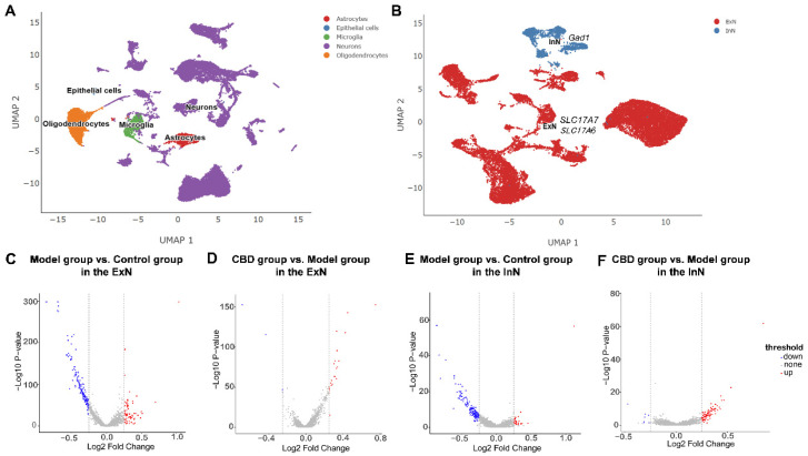 PMC11050643 – genes-15-00519-f004