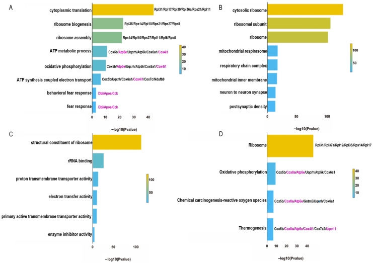 PMC11050643 – genes-15-00519-f005