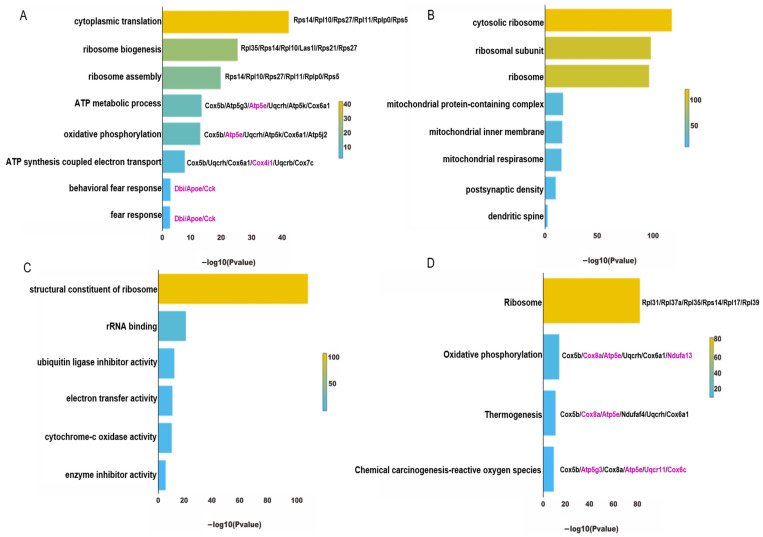 PMC11050643 – genes-15-00519-f006