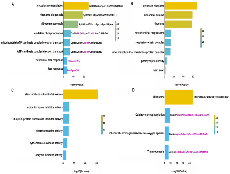 PMC11050643 – genes-15-00519-f008