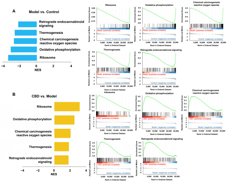 PMC11050643 – genes-15-00519-f009