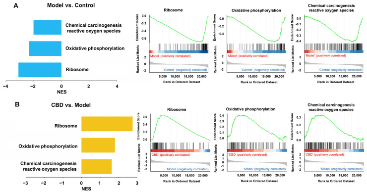 PMC11050643 – genes-15-00519-f010