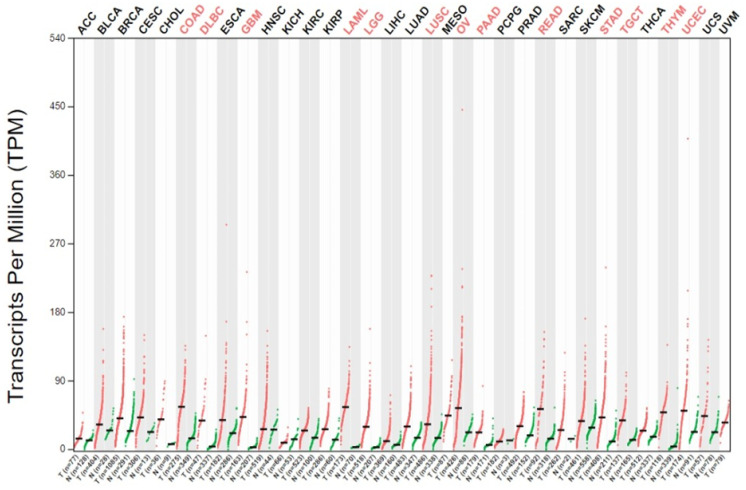 PMC11121236 – genes-15-00577-f001