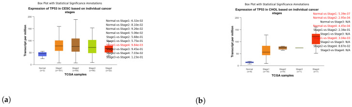 PMC11121236 – genes-15-00577-f006
