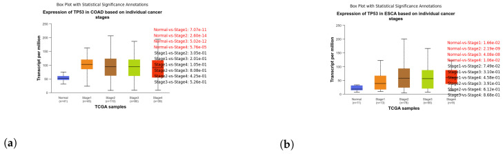 PMC11121236 – genes-15-00577-f007