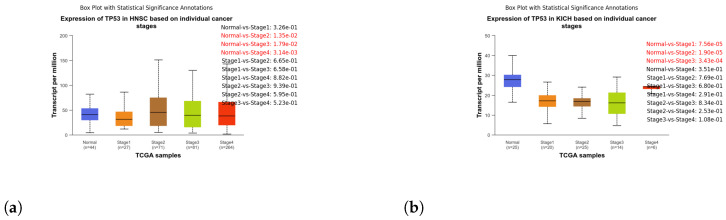 PMC11121236 – genes-15-00577-f008