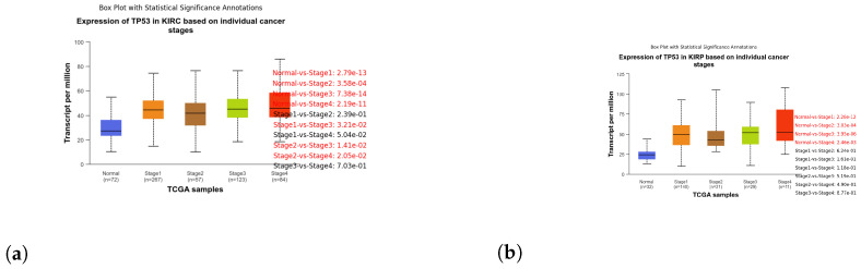 PMC11121236 – genes-15-00577-f009