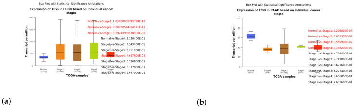 PMC11121236 – genes-15-00577-f011