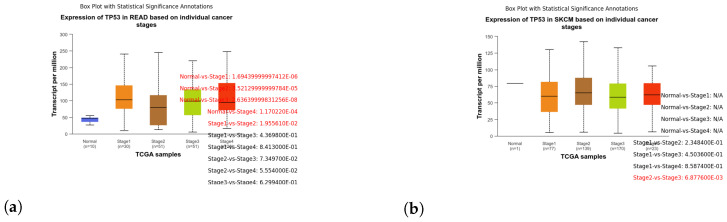 PMC11121236 – genes-15-00577-f012