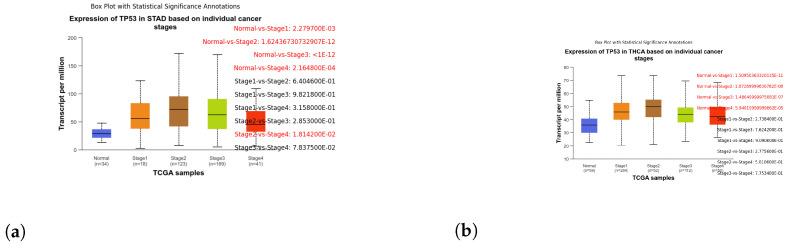 PMC11121236 – genes-15-00577-f013