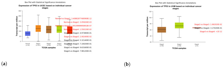 PMC11121236 – genes-15-00577-f014