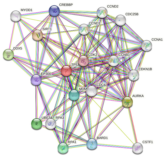 PMC11121236 – genes-15-00577-f015