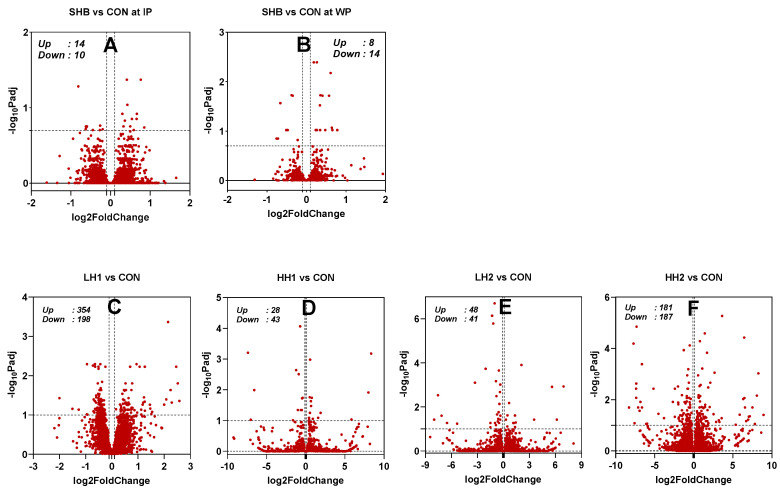 PMC11275923 – genes-15-00963-f002