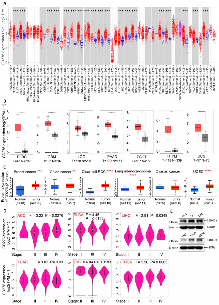 PMC11675885 – genes-15-01527-f001