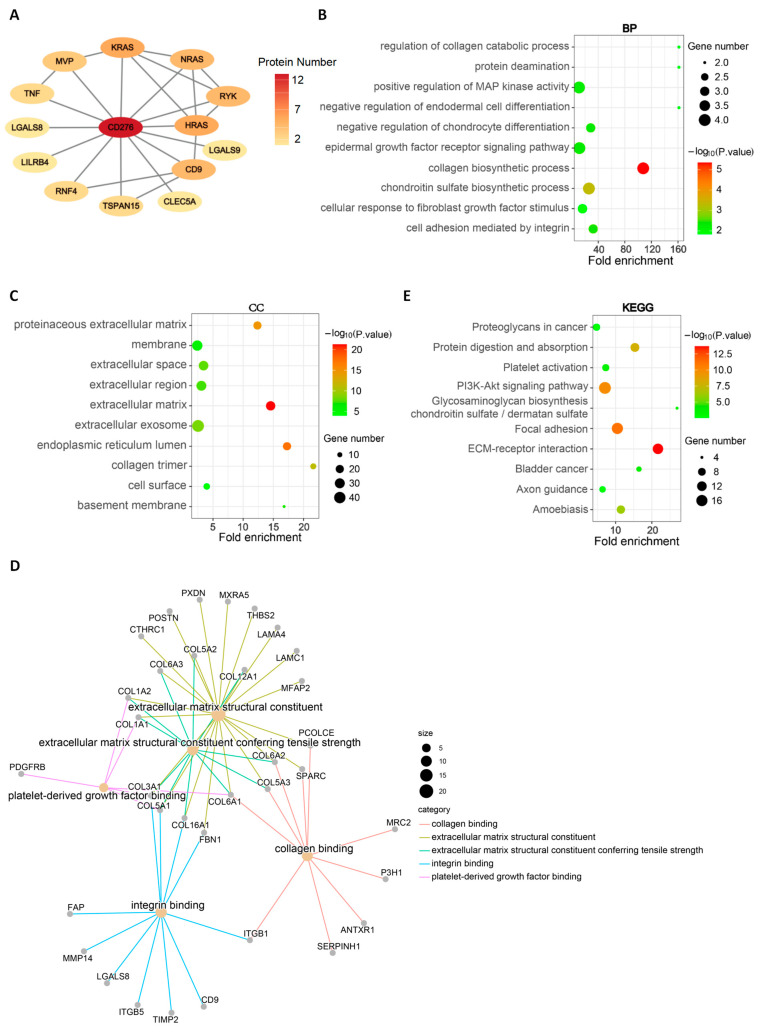 PMC11675885 – genes-15-01527-f005