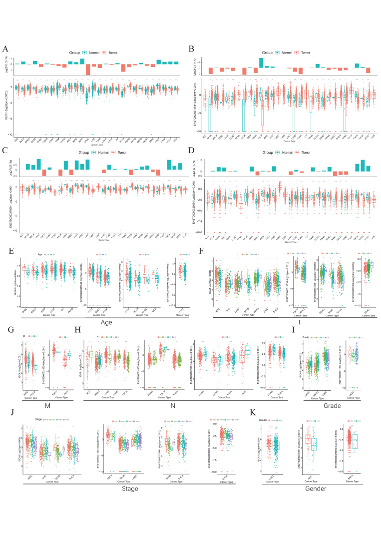 PMC11675480 – genes-15-01538-f001