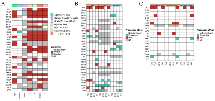 PMC11675480 – genes-15-01538-f002