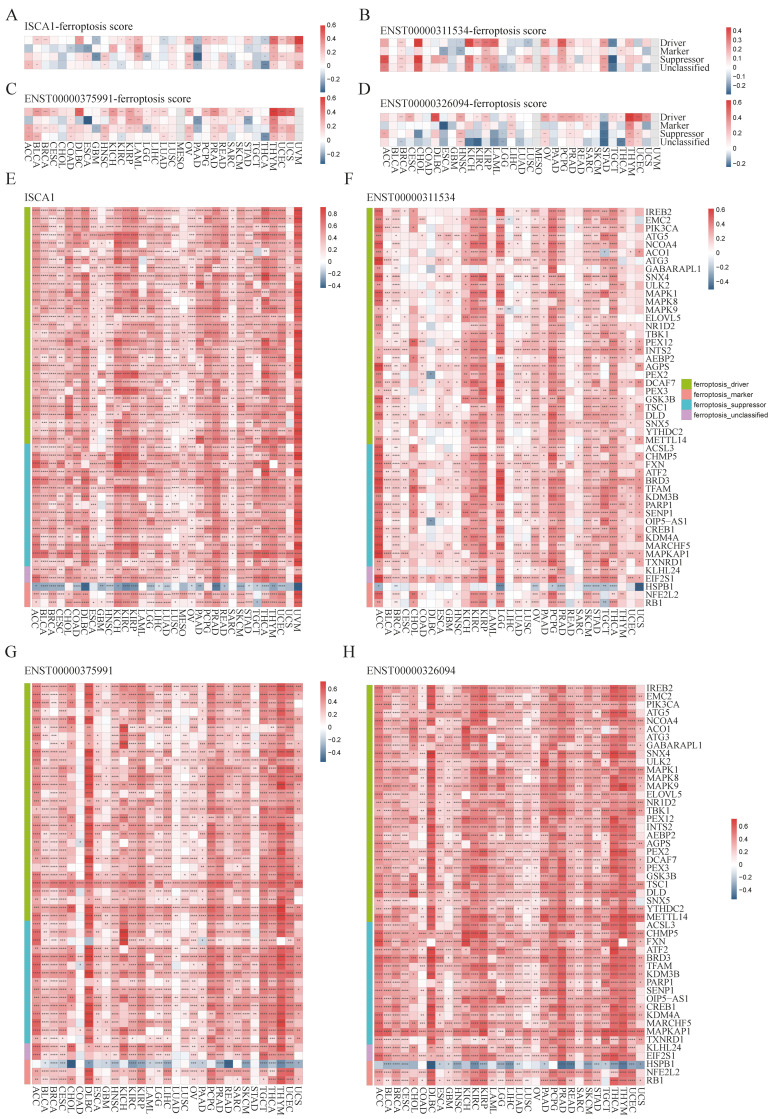 PMC11675480 – genes-15-01538-f003