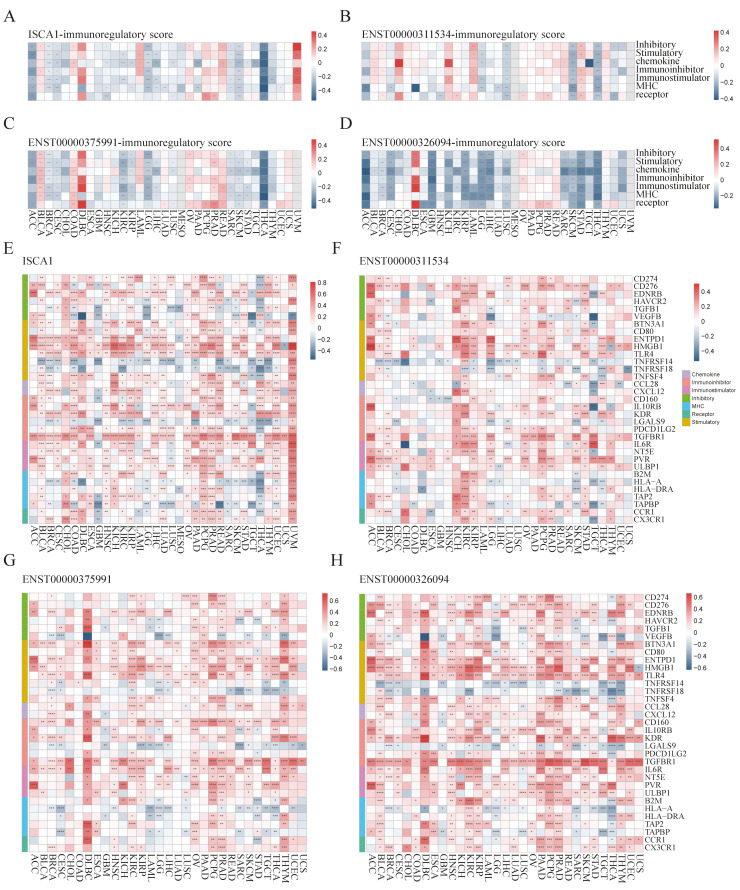 PMC11675480 – genes-15-01538-f004