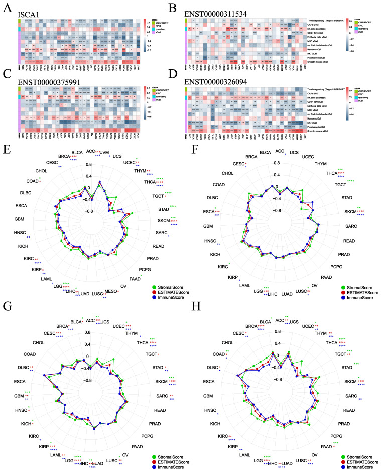 PMC11675480 – genes-15-01538-f005