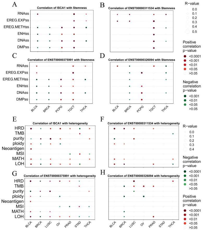 PMC11675480 – genes-15-01538-f006