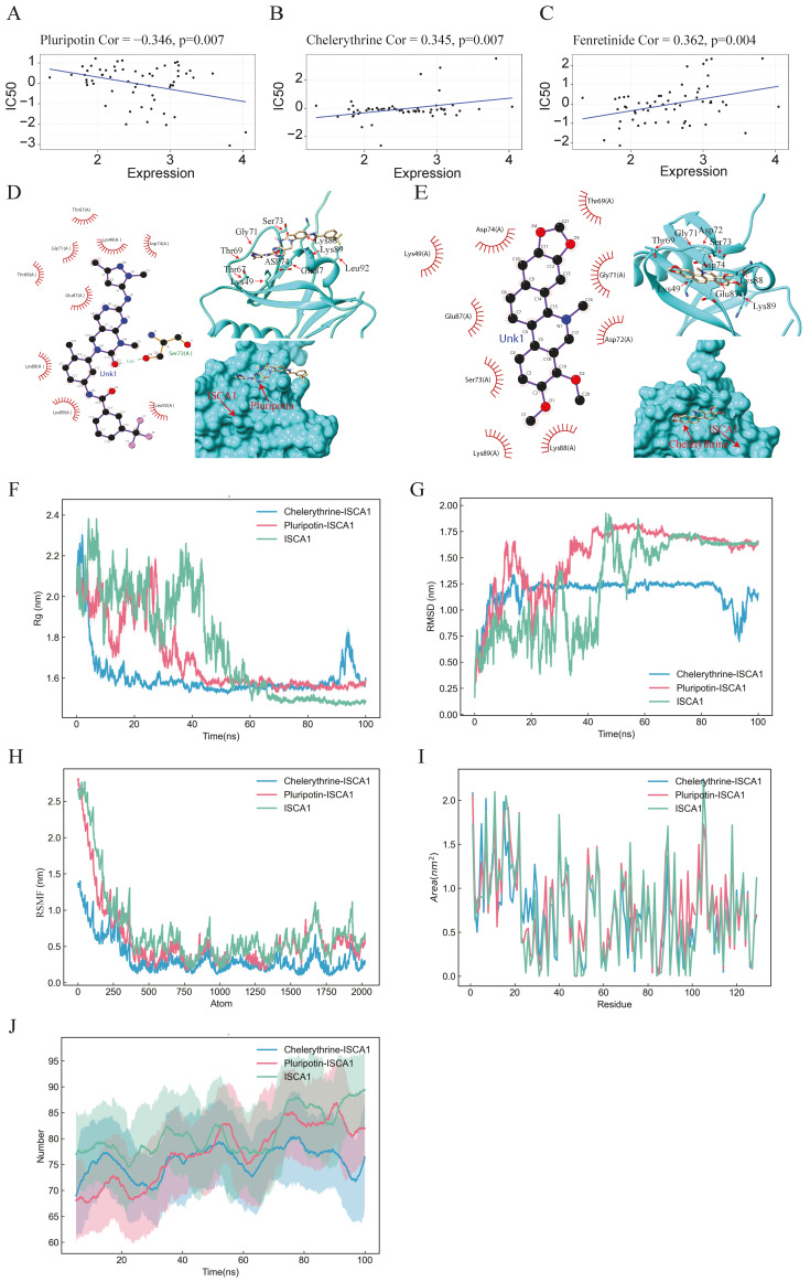 PMC11675480 – genes-15-01538-f007
