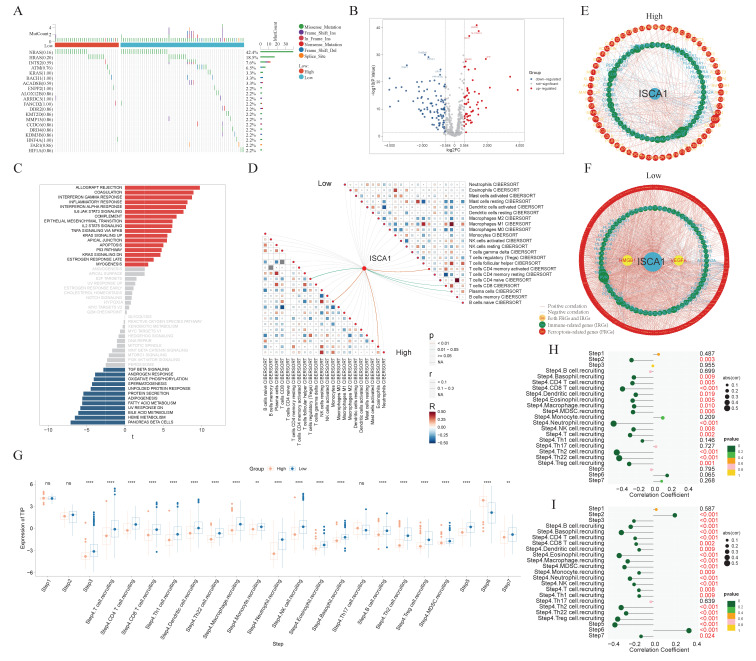 PMC11675480 – genes-15-01538-f008