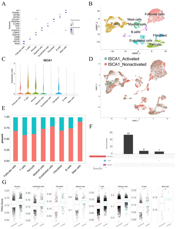 PMC11675480 – genes-15-01538-f009
