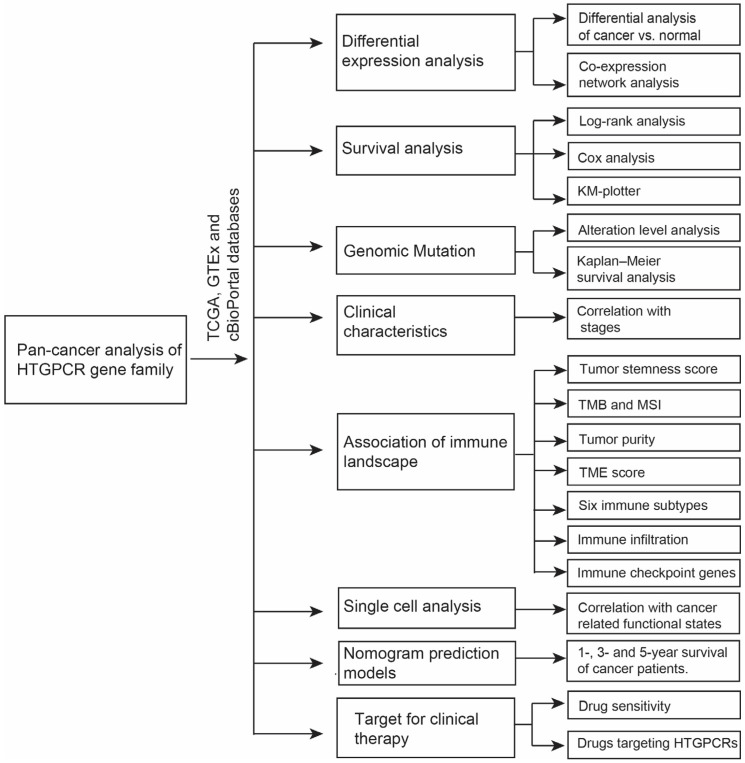 PMC11675146 – genes-15-01541-f001