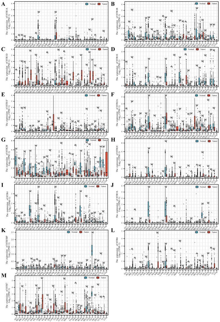 PMC11675146 – genes-15-01541-f003