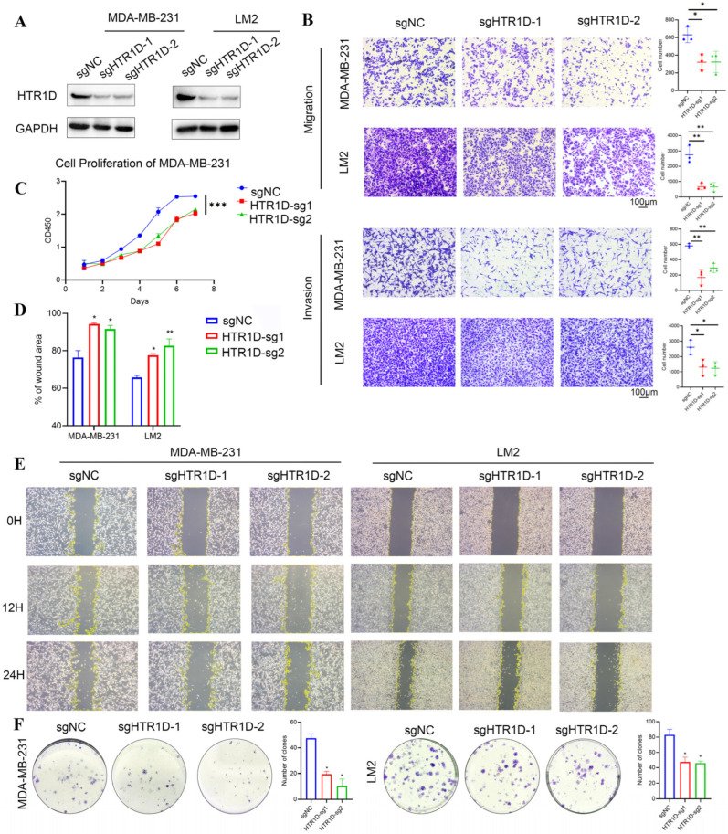 PMC11675146 – genes-15-01541-f010
