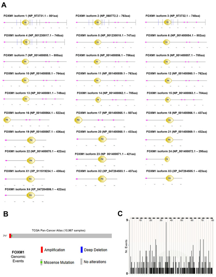PMC11765198 – genes-16-00056-f001