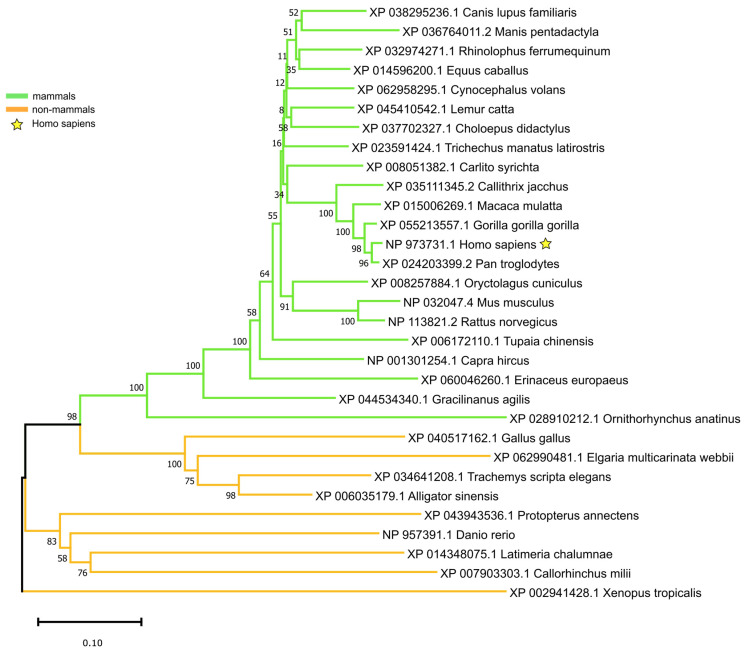 PMC11765198 – genes-16-00056-f002
