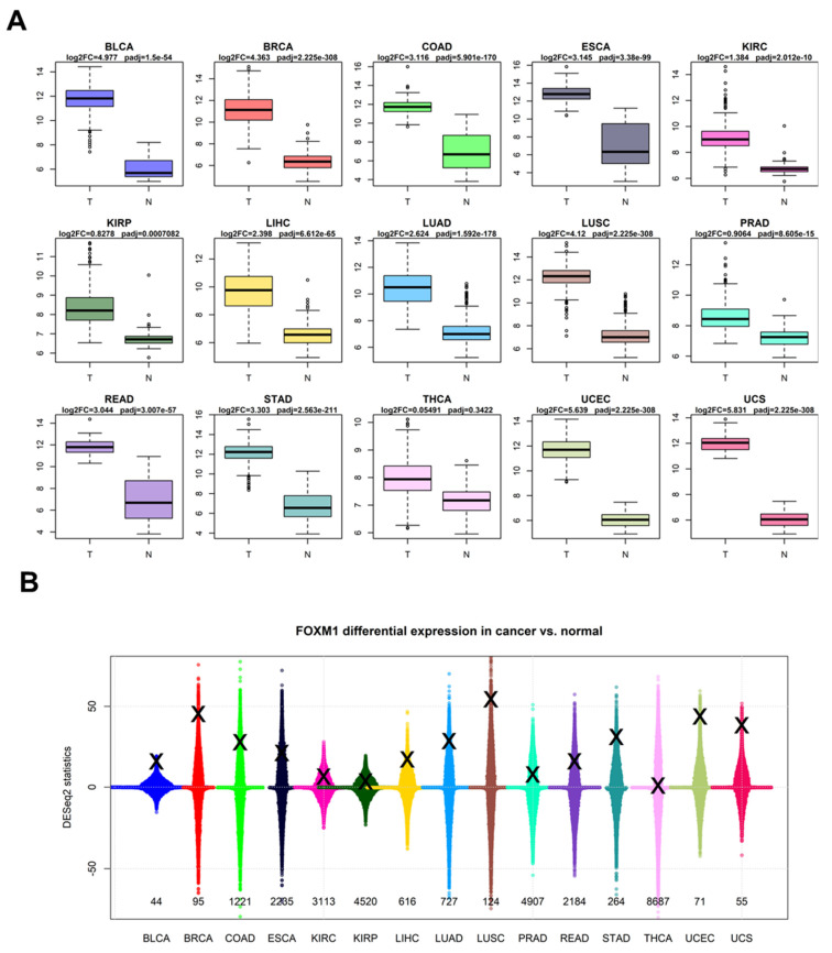PMC11765198 – genes-16-00056-f003