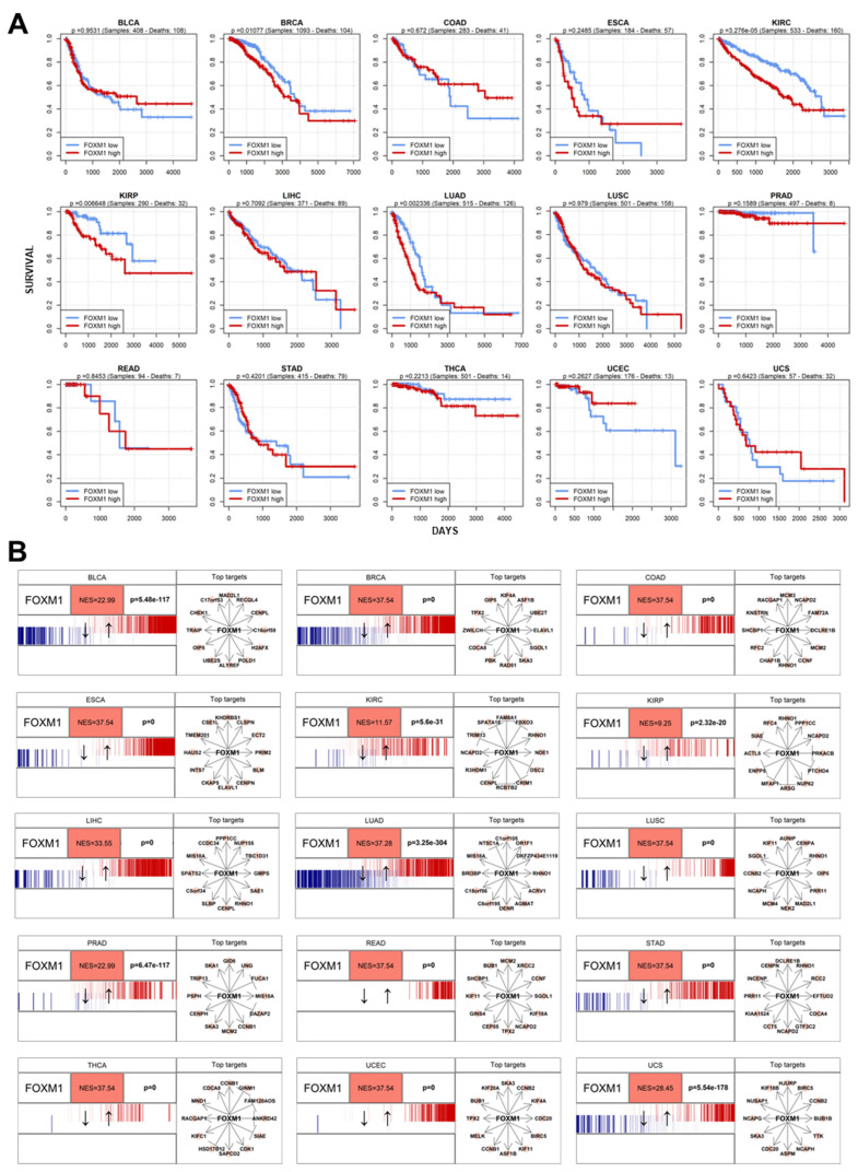 PMC11765198 – genes-16-00056-f004