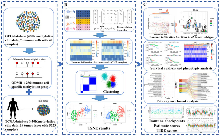 PMC11855777 – genes-16-00160-f001