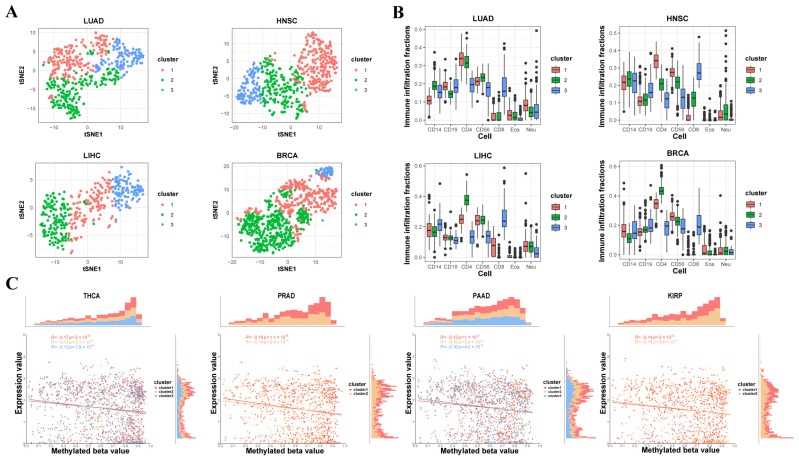 PMC11855777 – genes-16-00160-f003